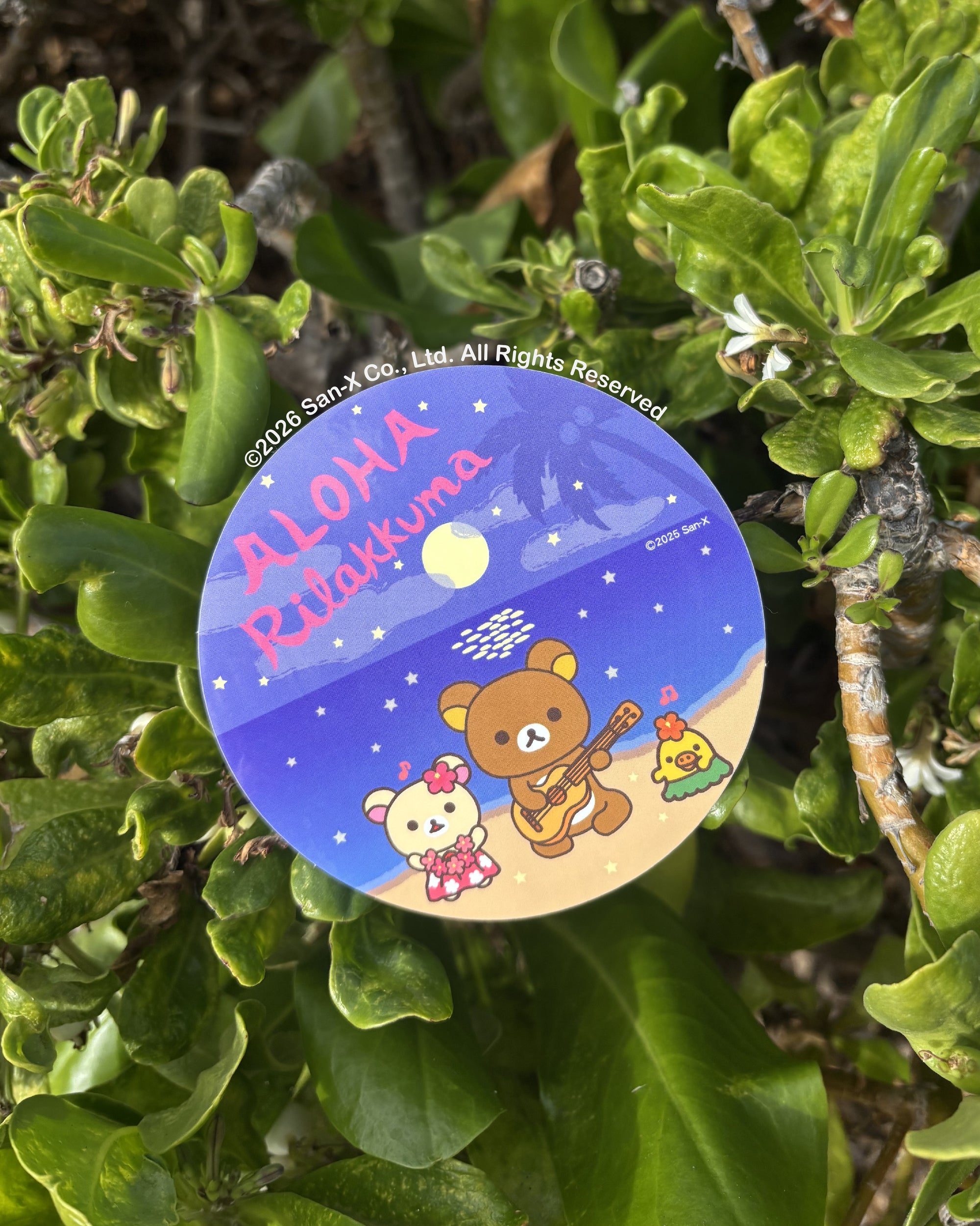 Hawaii Time Rilakkuma Mini Stickers