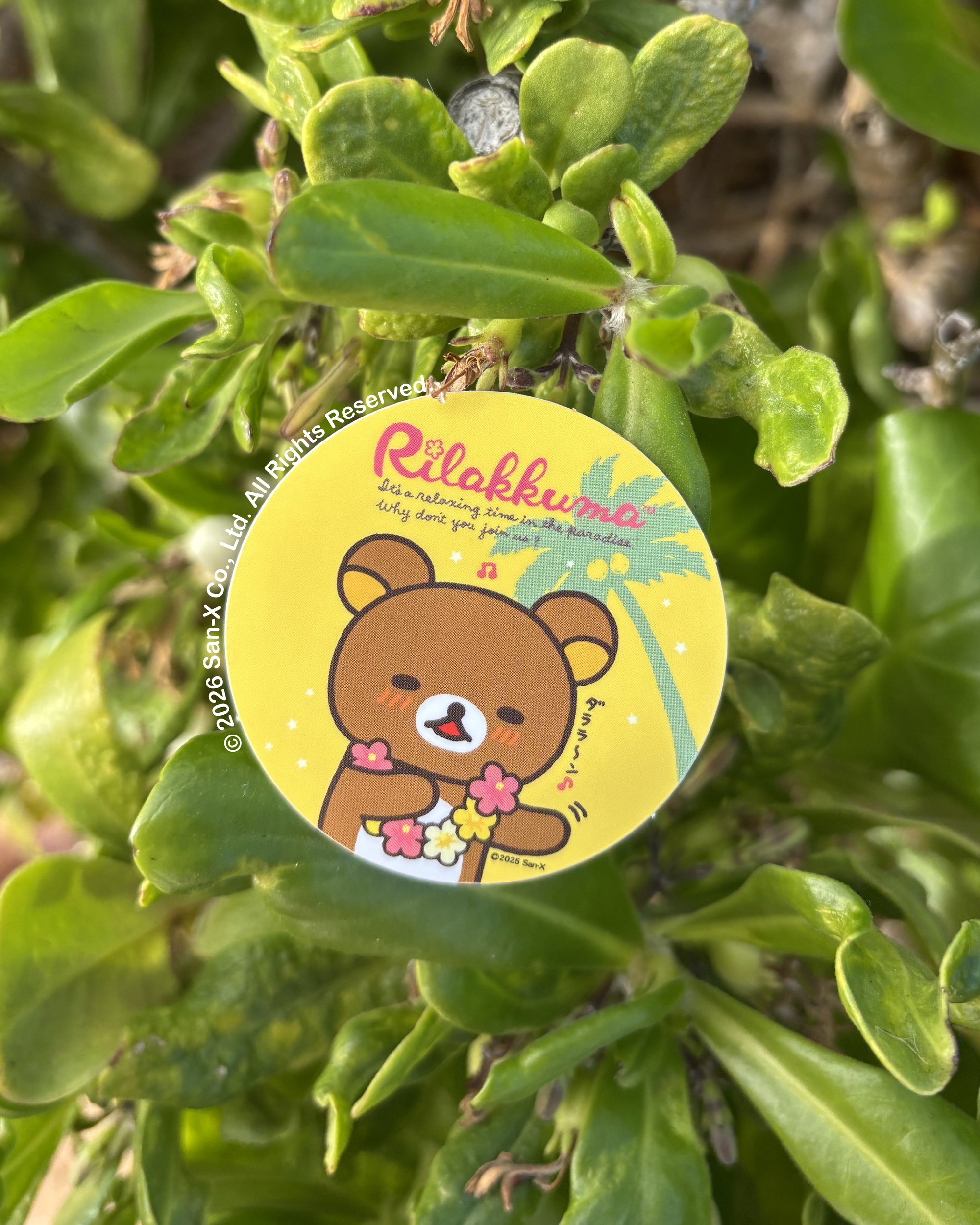Hawaii Time Rilakkuma Mini Stickers