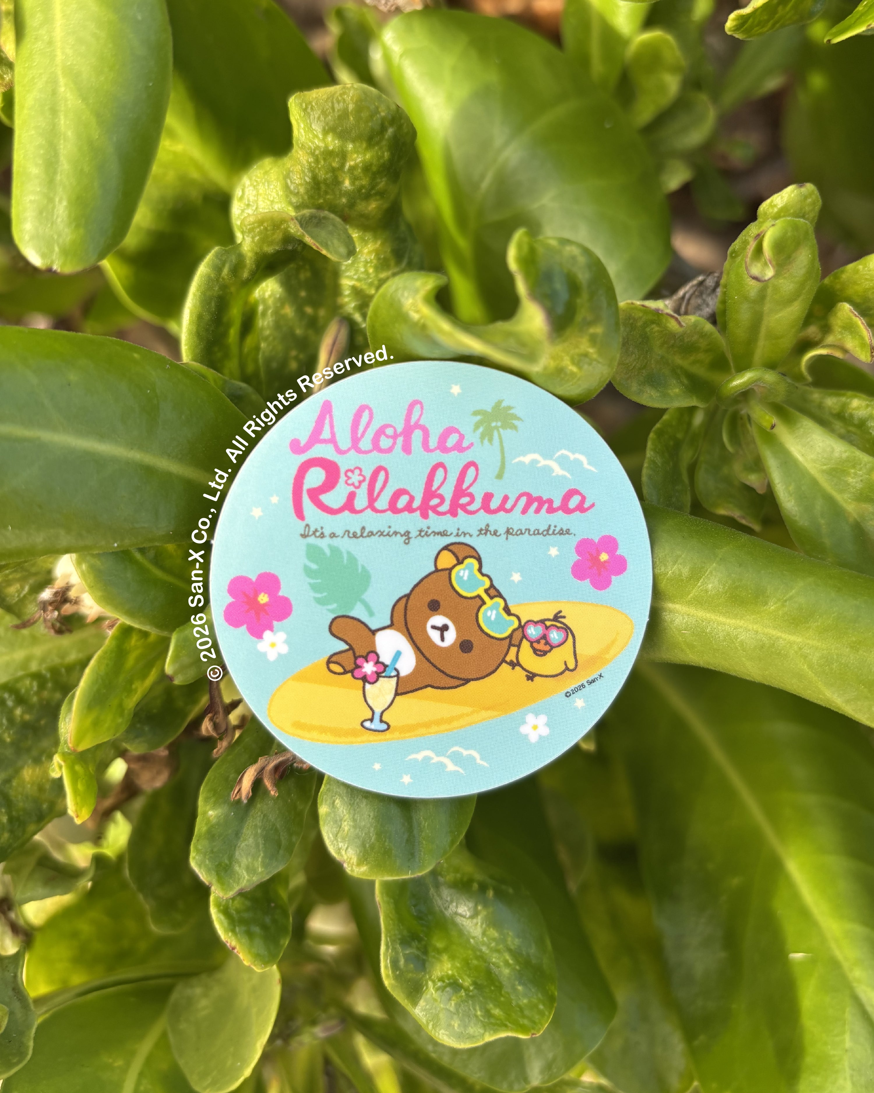 Hawaii Time Rilakkuma Mini Stickers