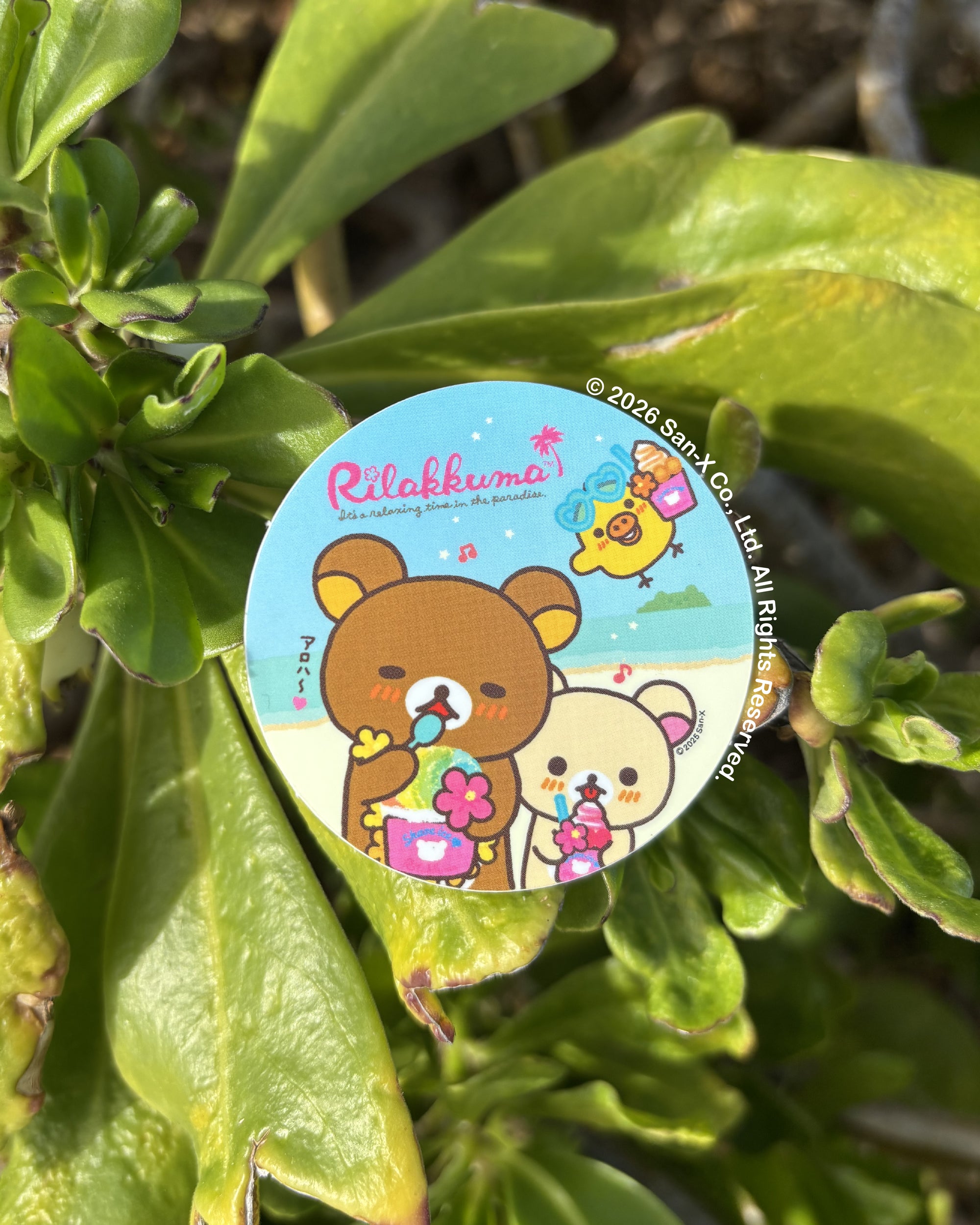 Hawaii Time Rilakkuma Mini Stickers