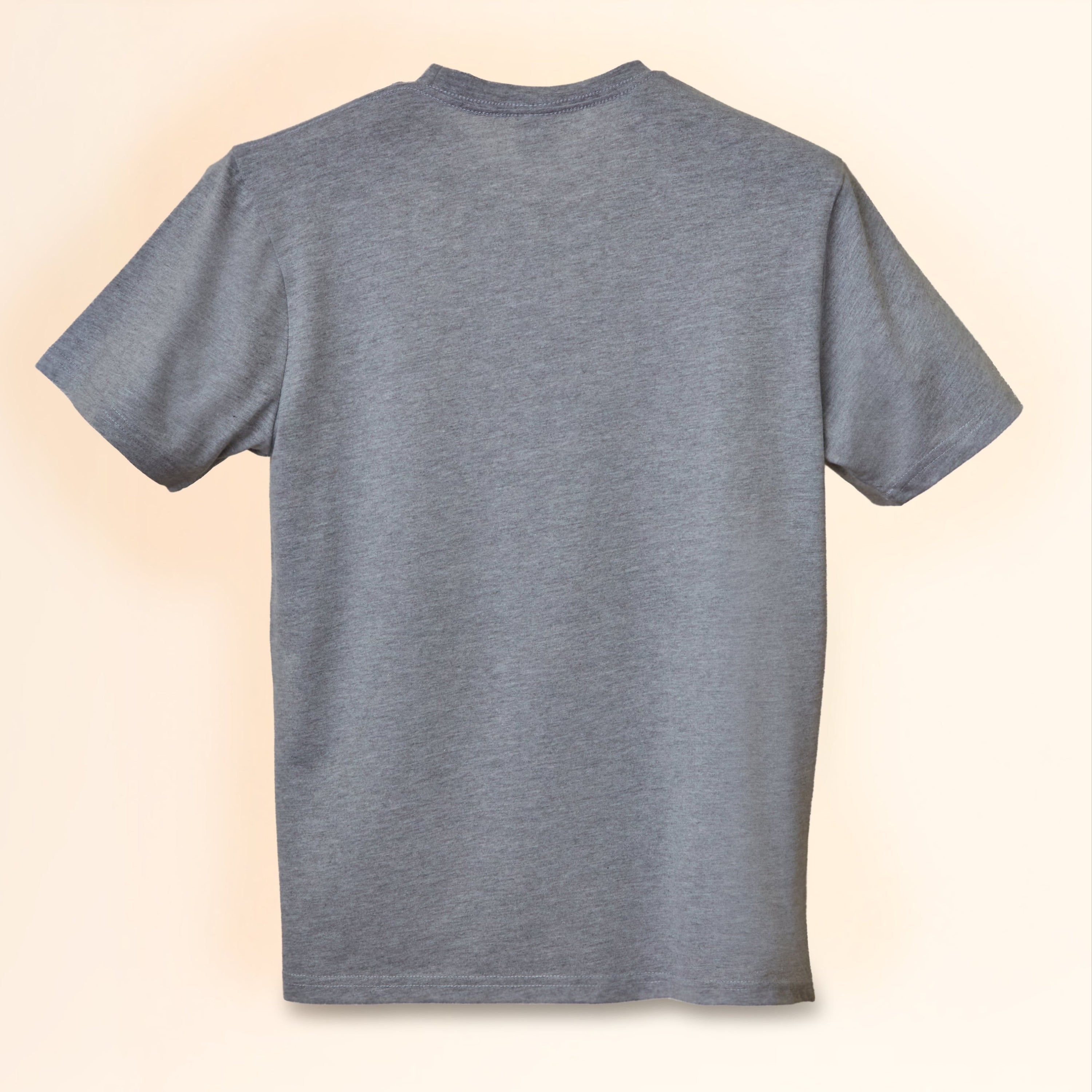 モニ グレーTシャツ